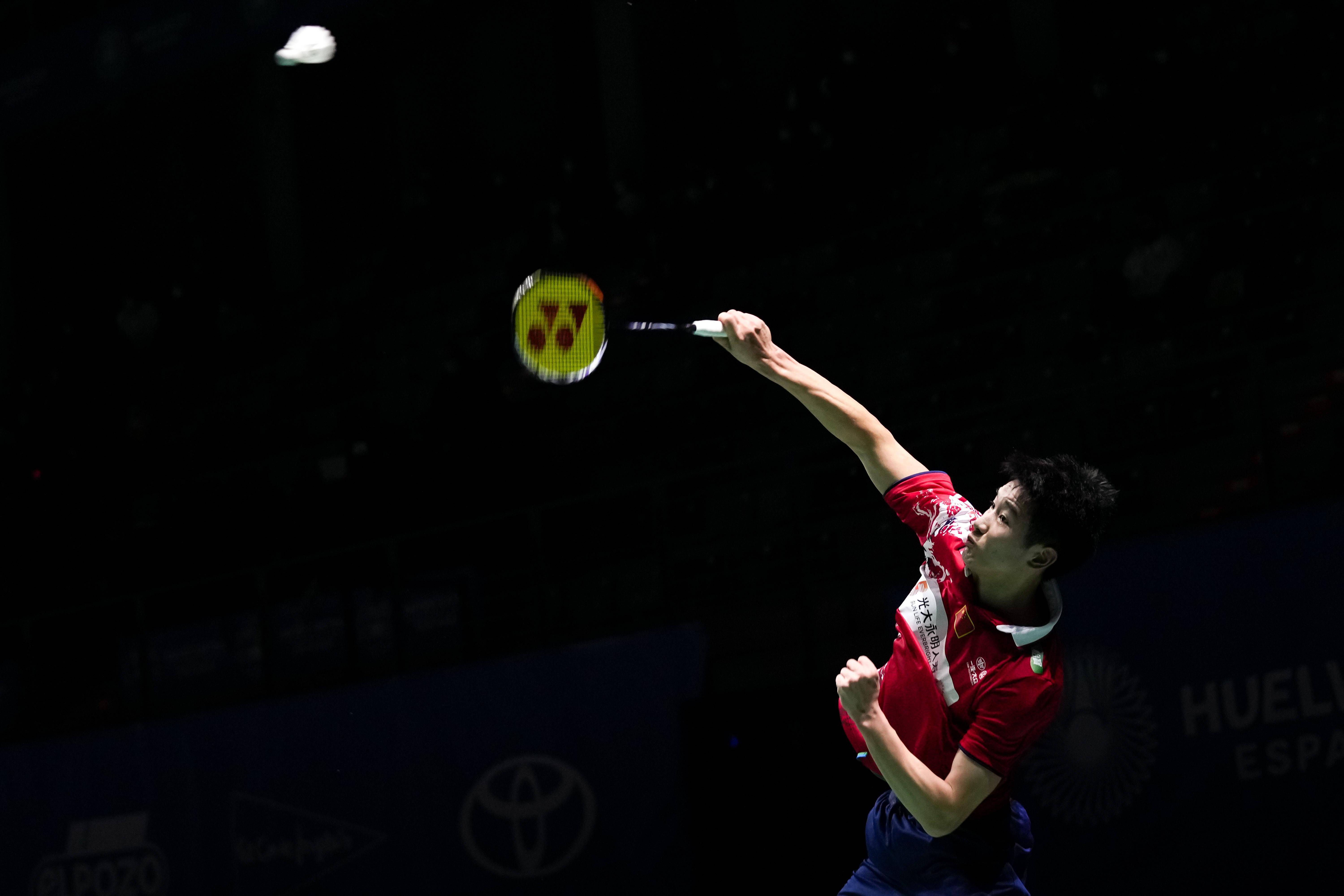 决定提供有 决定提供有