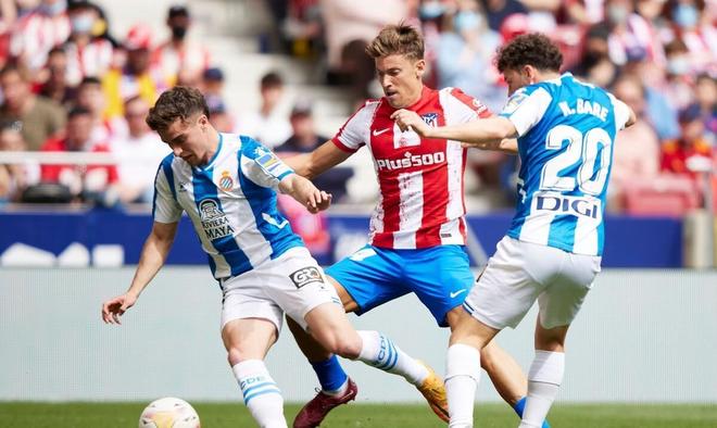 不仅仅是经 不仅仅是经