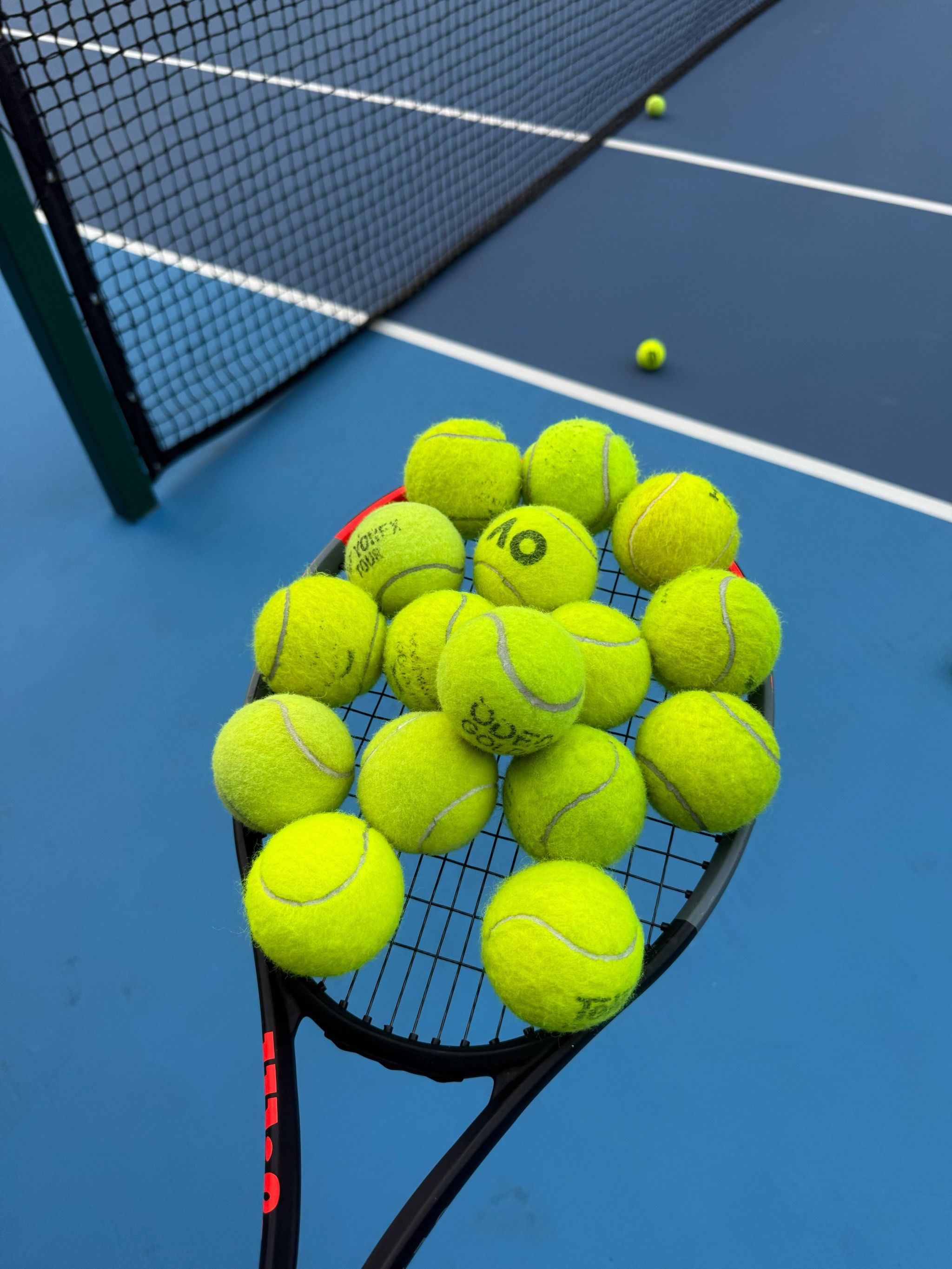 究静脉血栓 究静脉血栓